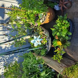 Søvejen 16B, 7620 Lemvig