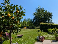 Terndrupvej 28, 9560 Hadsund