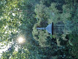 Gammel Strandvej 89, Bisserup, 4243 Rude