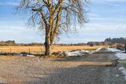 Bredgade 46, 7160 Tørring