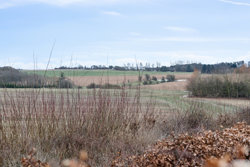 Allegade 18, Jeksen, 8362 Hørning