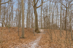 Snærildvej 44, 8300 Odder