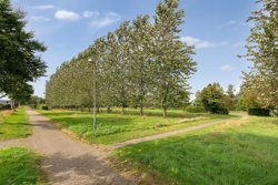 Ålholmvej 141, Tjørring, 7400 Herning