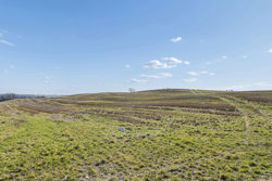 Lunddorpvej 5, Lunddorp, 8830 Tjele