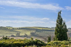 Bindeleddet 16, Landborup, 8420 Knebel