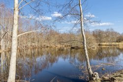 Skovsøen 13, Fjellerup Strand, 8585 Glesborg