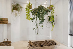 Birkedommervej 8, Vester Egede, 4690 Haslev