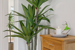 Solvænget 22, Ejby, 5592 Ejby