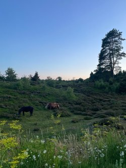 Terndrupvej 28, 9560 Hadsund