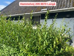Hammelvej 207, Houlbjerg, 8870 Langå