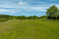 Magtenbøllevej 12, Skalbjerg, 5492 Vissenbjerg