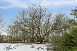 Nordkystvejen 28, Rygårde, 8961 Allingåbro