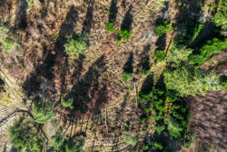 Provstskovvej 15, Bogens, 8400 Ebeltoft