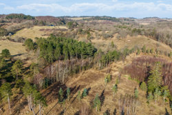 Provstskovvej 15, Bogens, 8400 Ebeltoft