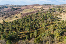 Provstskovvej 15, Bogens, 8400 Ebeltoft