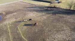 Brohusgyden 5, Hesle, 5620 Glamsbjerg