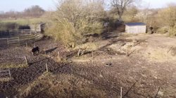 Brohusgyden 5, Hesle, 5620 Glamsbjerg