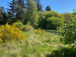 Sindalvej 45, 9981 Jerup