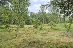 Tuenvej 240, 9900 Frederikshavn