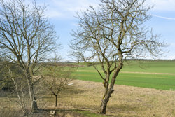 Kongstedlundvej 13, Smidie, 9574 Bælum