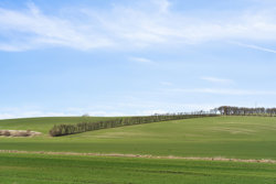 Kongstedlundvej 13, Smidie, 9574 Bælum