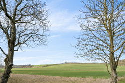 Kongstedlundvej 13, Smidie, 9574 Bælum