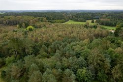 Trinnerupvej 10, Vester Korup, 9575 Terndrup