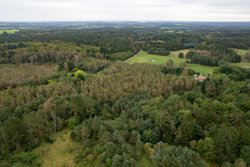 Trinnerupvej 10, Vester Korup, 9575 Terndrup