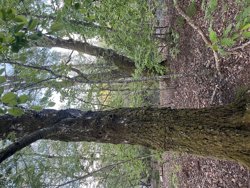 Trinnerupvej 10, Vester Korup, 9575 Terndrup