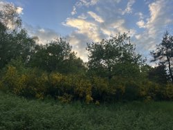 Trinnerupvej 10, Vester Korup, 9575 Terndrup