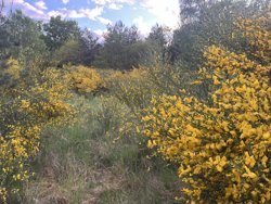 Trinnerupvej 10, Vester Korup, 9575 Terndrup