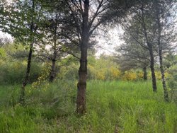 Trinnerupvej 10, Vester Korup, 9575 Terndrup