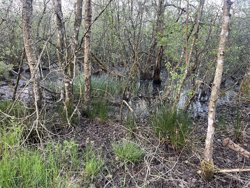 Trinnerupvej 10, Vester Korup, 9575 Terndrup