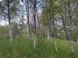 Trinnerupvej 10, Vester Korup, 9575 Terndrup