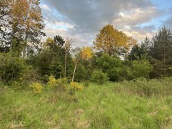 Trinnerupvej 10, Vester Korup, 9575 Terndrup