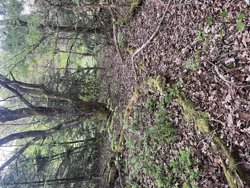 Trinnerupvej 10, Vester Korup, 9575 Terndrup