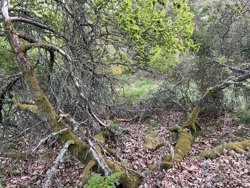 Trinnerupvej 10, Vester Korup, 9575 Terndrup