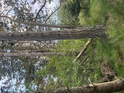 Trinnerupvej 10, Vester Korup, 9575 Terndrup