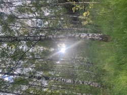 Trinnerupvej 10, Vester Korup, 9575 Terndrup