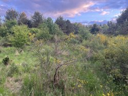 Trinnerupvej 10, Vester Korup, 9575 Terndrup