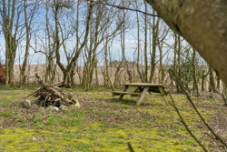 Nissumvej 65, Nørlem, 7620 Lemvig