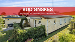 Skydsbjerg 12, Diernæs, 6100 Haderslev