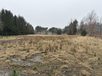 Sellegaarde Vest 6B, 9560 Hadsund