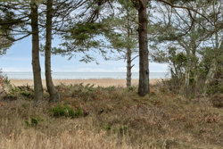 Vidjeparken 112, Helberskov, 9560 Hadsund