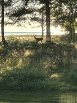 Vidjeparken 112, Helberskov, 9560 Hadsund