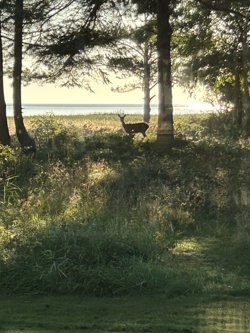 Vidjeparken 112, Helberskov, 9560 Hadsund