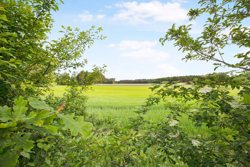 Mølletoften 24, Selkær Mølle, 8585 Glesborg