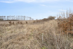 Sallvej 65A, 8450 Hammel