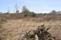 Sallvej 65A, 8450 Hammel