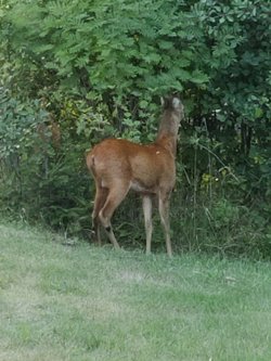 Strandparken 72, Helberskov, 9560 Hadsund